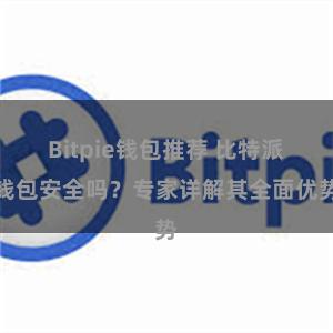 Bitpie钱包推荐 比特派钱包安全吗？专家详解其全面优势