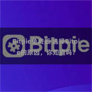 Bitpie免费版 选择Bitpie的原因，你知道吗？