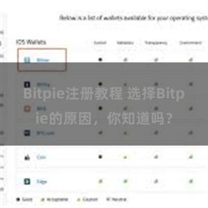 Bitpie注册教程 选择Bitpie的原因，你知道吗？