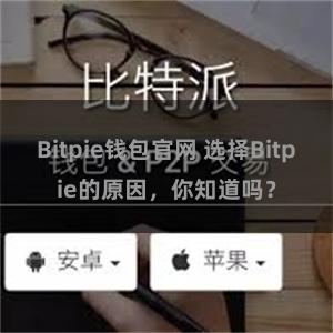 Bitpie钱包官网 选择Bitpie的原因，你知道吗？