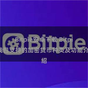 Bitpie安卓下载 Bitpie钱包支持的加密货币种类及功能介绍