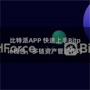 比特派APP 快速上手Bitpie钱包，多链资产管理技巧