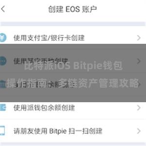 比特派iOS Bitpie钱包操作指南：多链资产管理攻略