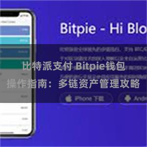 比特派支付 Bitpie钱包操作指南：多链资产管理攻略