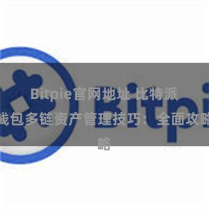 Bitpie官网地址 比特派钱包多链资产管理技巧：全面攻略