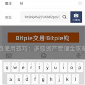 Bitpie交易 Bitpie钱包使用技巧：多链资产管理全攻略