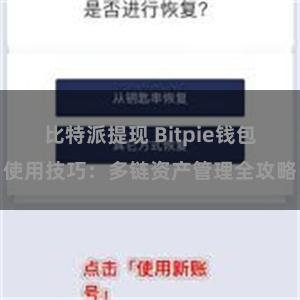 比特派提现 Bitpie钱包使用技巧：多链资产管理全攻略