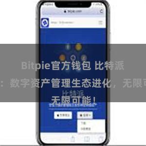 Bitpie官方钱包 比特派钱包：数字资产管理生态进化，无限可能！