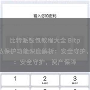 比特派钱包教程大全 Bitpie钱包隐私保护功能深度解析：安全守护，资产保障