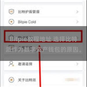 Bitpie教程地址 选择比特派作为数字资产钱包的原因。