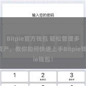 Bitpie官方钱包 轻松管理多链资产，教你如何快速上手Bitpie钱包！