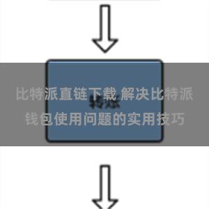 比特派直链下载 解决比特派钱包使用问题的实用技巧