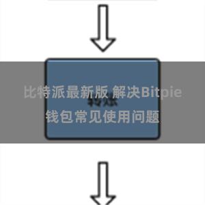 比特派最新版 解决Bitpie钱包常见使用问题