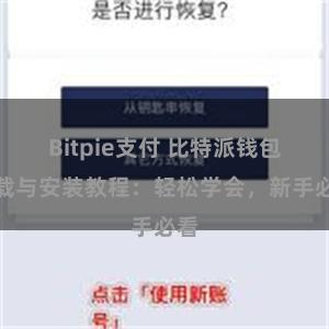 Bitpie支付 比特派钱包下载与安装教程：轻松学会，新手必看