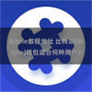 Bitpie教程地址 比特派(Bitpie)钱包适合何种用户？