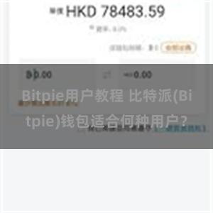 Bitpie用户教程 比特派(Bitpie)钱包适合何种用户？